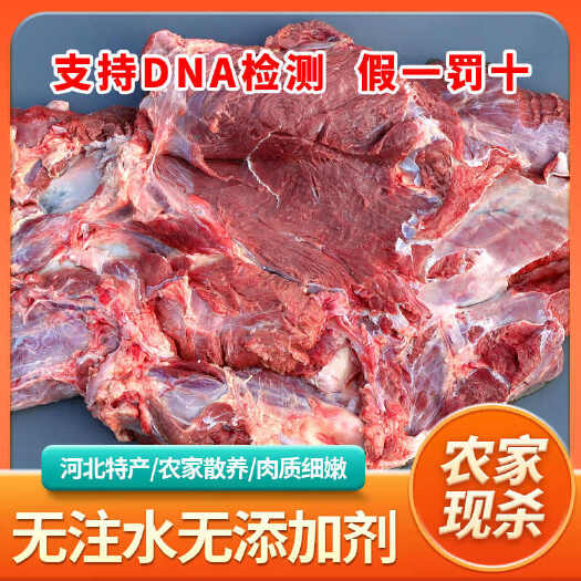 新鲜马肉农家散养现杀生马腿肉肋骨马肉鲜马肉