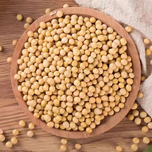 上海黄豆 豆腐豆皮豆浆专用黄小豆
