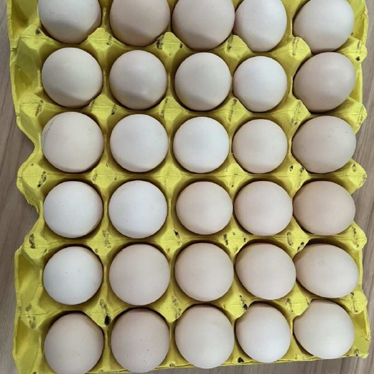 广州粉壳鸡蛋