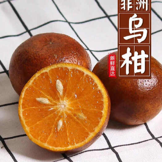 非洲乌柑果香浓郁甜多汁当季新鲜水果橘子桔子柑橘包邮