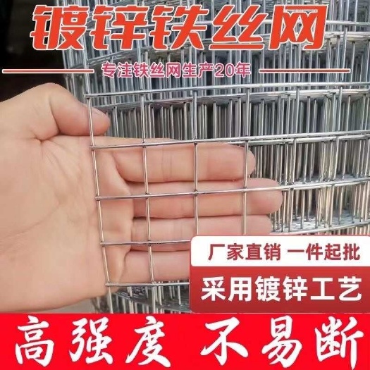 安平县荷兰网  热镀锌圈玉米网鸡鸭鹅兔鸽鸟笼网铁丝网围栏网养殖网圈