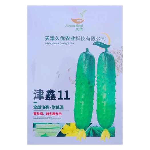 沭阳县久优津鑫11旱黄瓜种子全雌型耐低温短把大刺瘤黄瓜抗病强黄瓜种