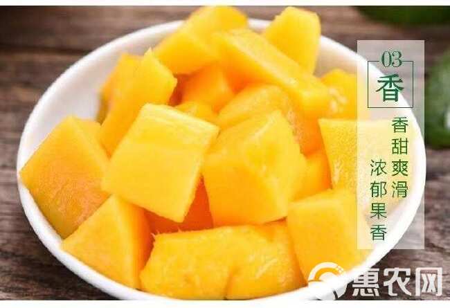越南玉芒果香甜多汁甜心芒现摘当季新鲜水果1/3/5斤整箱批发