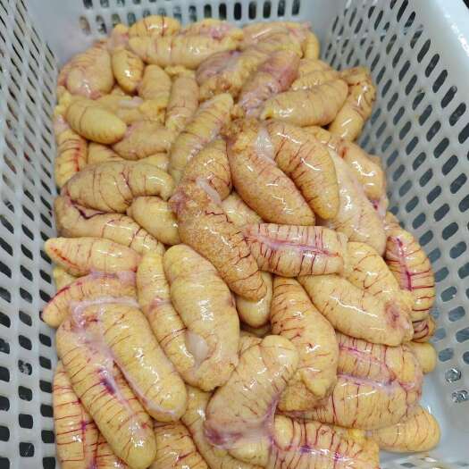 中牟县鲈鱼籽