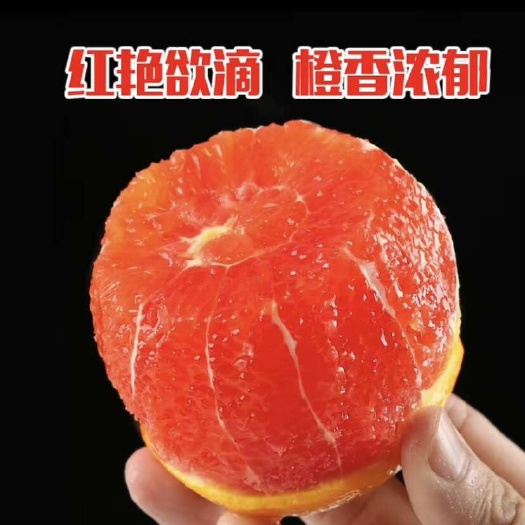 深圳湖北纽荷尔脐橙手剥橙出售，色红味正，低价优品，产地直发！