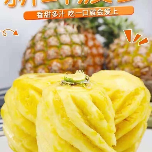 宜川县菠萝