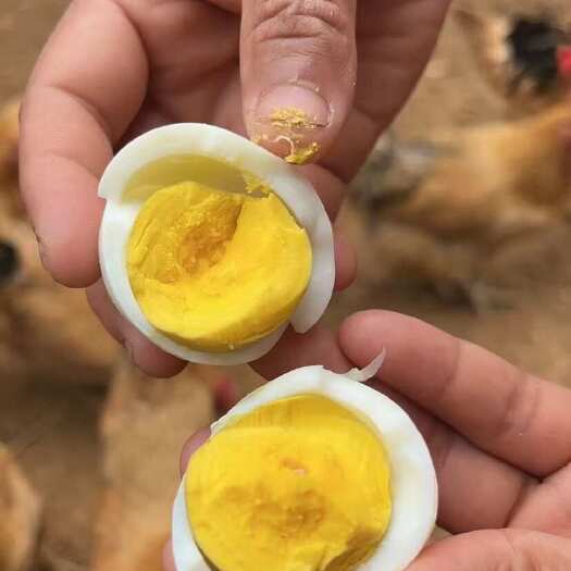 京山市土鸡蛋  ，混装，山林散养，新鲜，无抗，鸡场直供