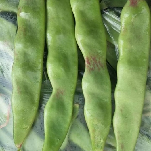精品一点红油豆角