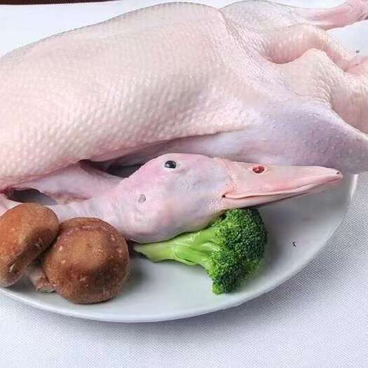 沂南县白条鸭，规格齐全，手续齐全一级欢迎新老客户选购