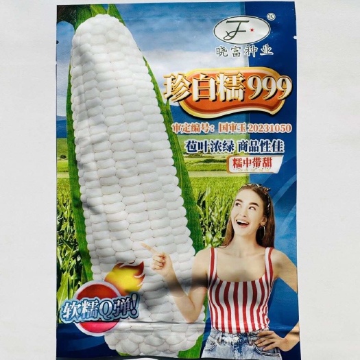 淮安晓富糯玉米种子珍白糯999玉米种子糯中带甜软糯Q弹白粘糯玉米