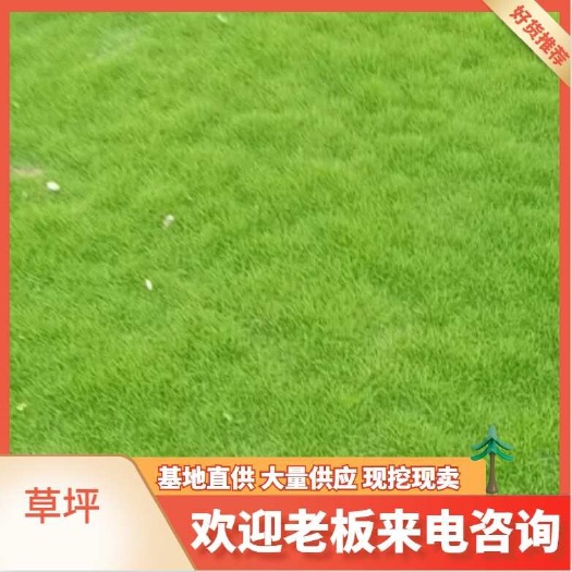 重庆市草坪。二号