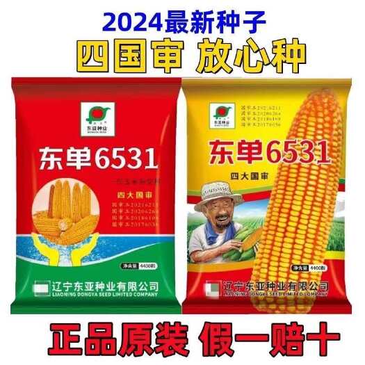 淮安国审东单6531原装玉米种子正品双胞胎矮杆抗倒苞米种抗旱