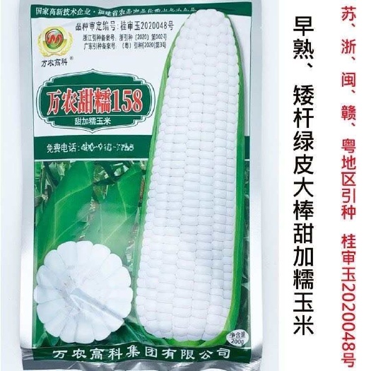 万农甜糯158白甜糯玉米种籽高产春季良种早熟矮杆甜加糯粘玉米