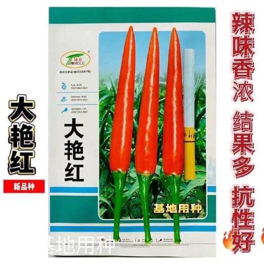 淮安大艳红单生朝天椒辣椒种子早熟大果钝尖抗病把长高辣大田种孑