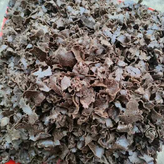 田东县肥料打虫，种果树种地好帮手