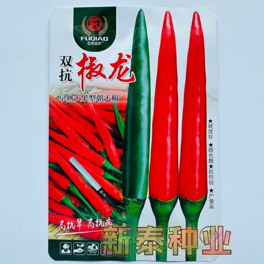 朝天椒种子双抗椒龙,高抗性中早熟大果朝天椒抗寒耐热泰国引进