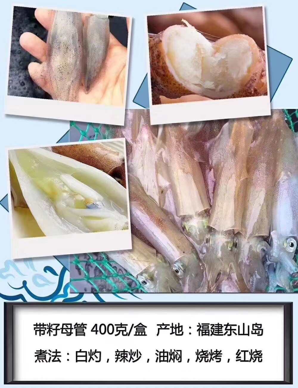 带籽纯本体母管东山活冻带饭小管鱿鱼带膏小管餐厅酒店批发