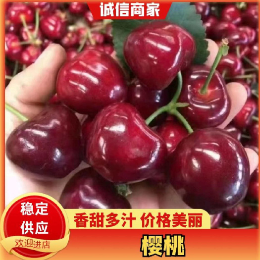 临朐县山东樱桃 甘甜脆口有要的老板抓紧联系