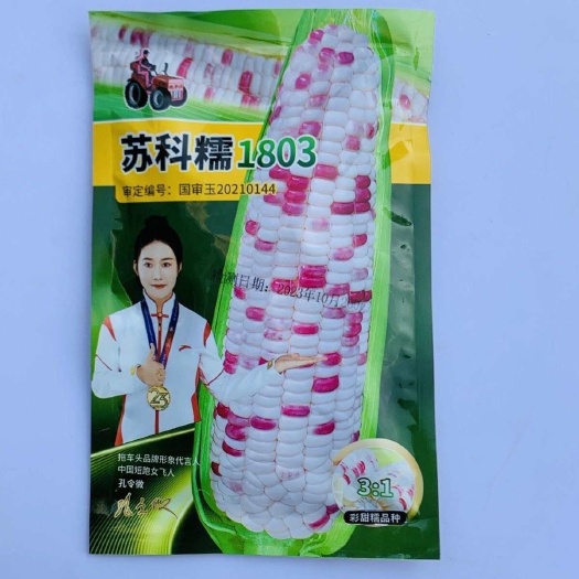 拖车头苏科糯1803甜彩糯玉米种子春秋播种鲜食糯玉米种籽抗病