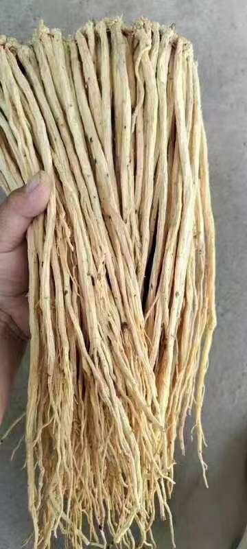 有硫原装白条党参（九成干）（水洗）