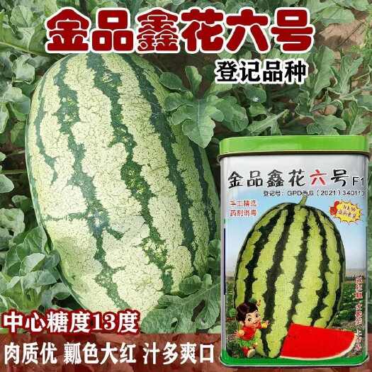 南京金品鑫花6 号正宗西瓜种子双红瓤大果型高产抗病高产耐裂基地种