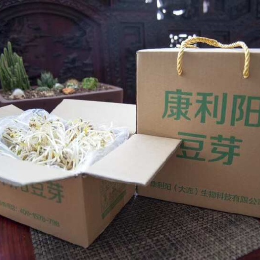纯绿色豆芽