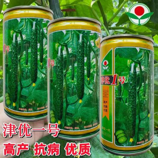 沭阳县津优一号黄瓜种子杂交一代黄瓜种子