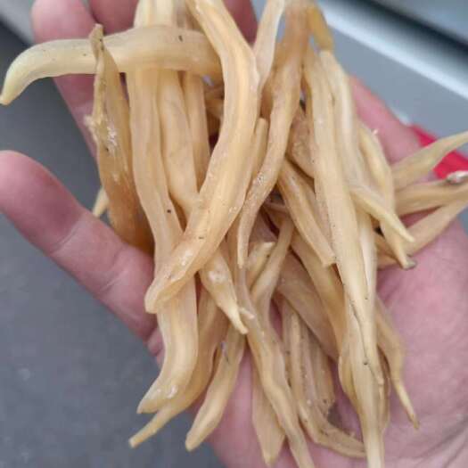 洛南县精选天冬