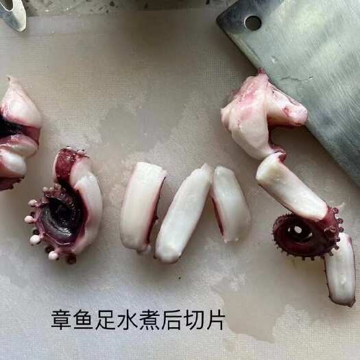 连云港鱿鱼