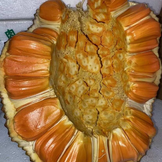 南宁印尼红