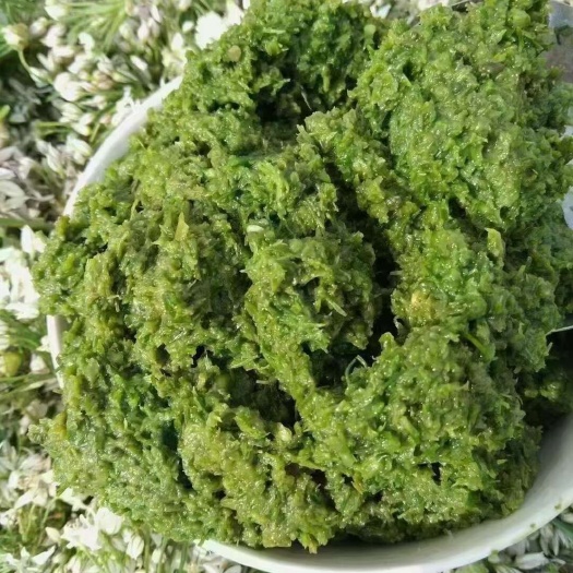 锡林浩特内蒙古锡林浩特野生韭菜花酱