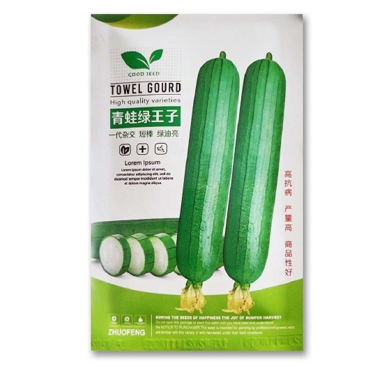 原装青蛙绿王子杂交一代短棒油亮油绿丝瓜种籽节节有瓜抗寒耐热