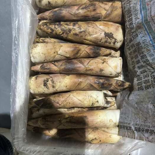 弋阳县江西弋阳雷竹笋大量上市。天然食品新鲜肉嫩香甜，各种规格品质