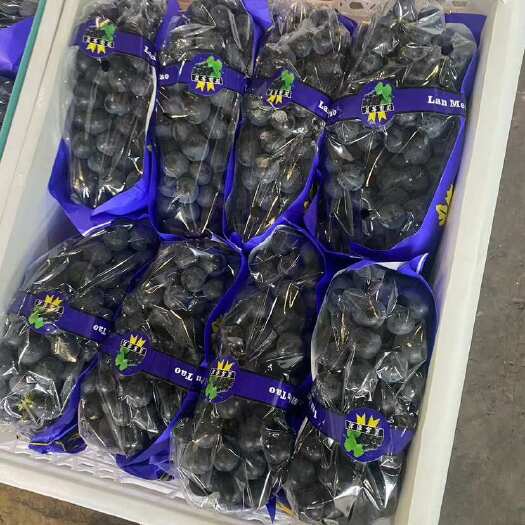 南宁蓝莓葡萄粒粒紫黑发亮又饱满圆润“东方黑珍”