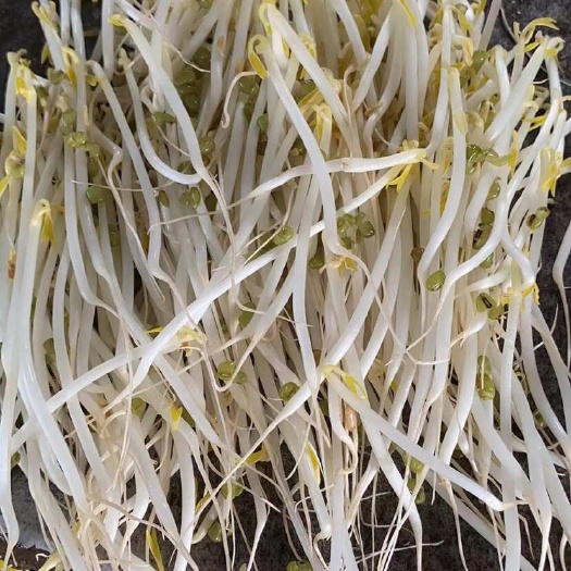 绿豆芽黄豆芽