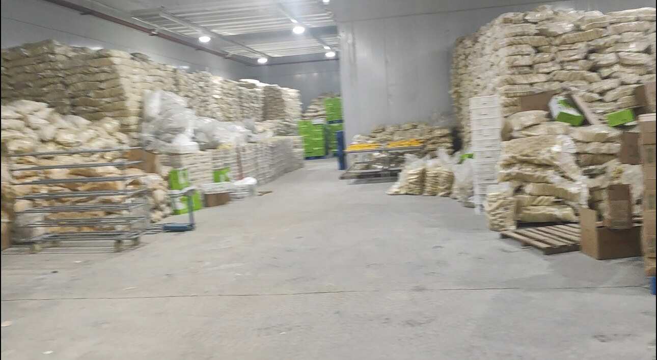 糯玉米