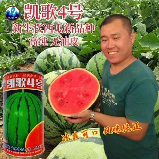 宿迁凯歌4号早熟西瓜种子