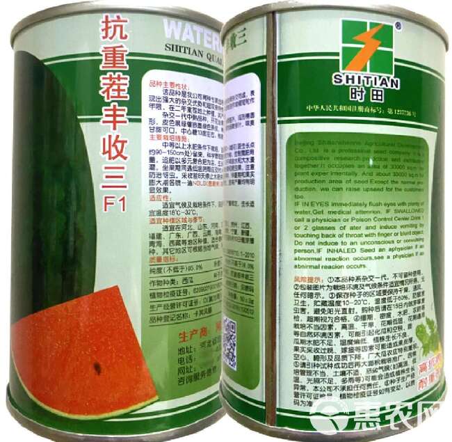 懒汉西瓜种子  特大抗重茬懒汉王 西瓜籽 巨型南北方种植超甜