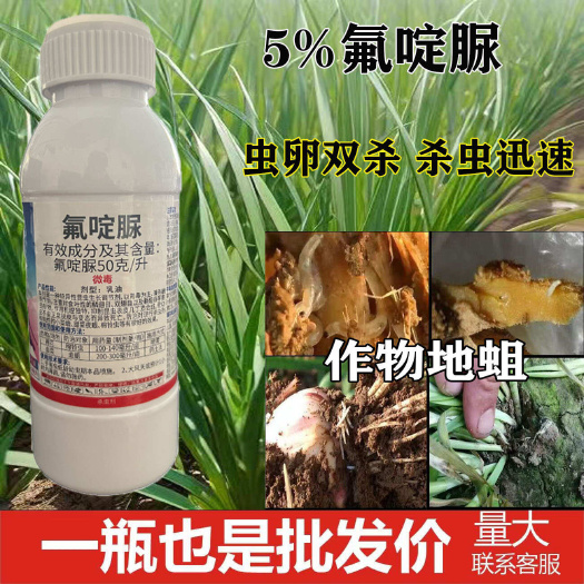 荥阳市氟啶脲韭菜韭蛆药地蛆地下害虫杀虫剂一灌净杀虫药