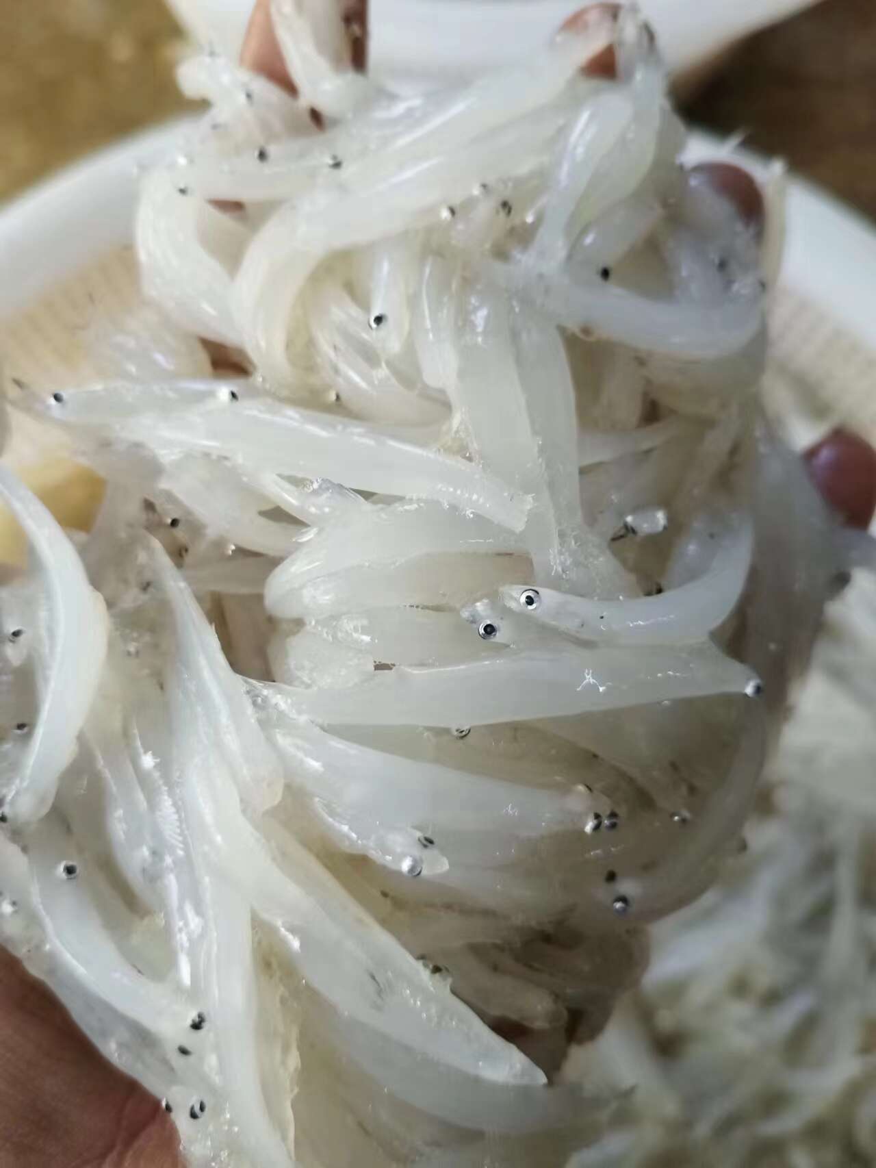 新鲜冷冻小银鱼，规格齐全，产地直销，肉质鲜嫩。