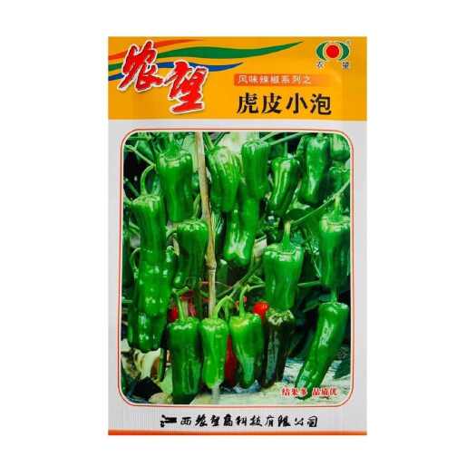 南京农望辣椒种子虎皮小泡虎皮椒种子早熟皮薄脆嫩挂果多小灯笼型辣椒