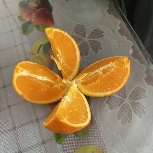 岳池县脐橙