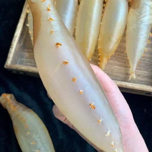 广州野生赤嘴筒 鱼胶天然安全食品纯公肚 营养价值高