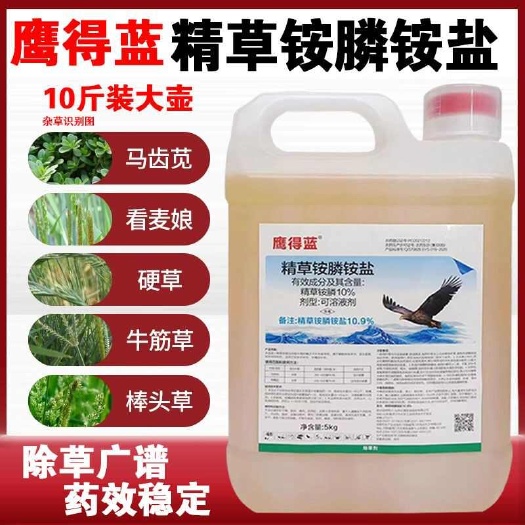 巨野县除草剂精草铵膦铵盐果园荒地行间除草一扫光牛筋恶性杂草小飞蓬