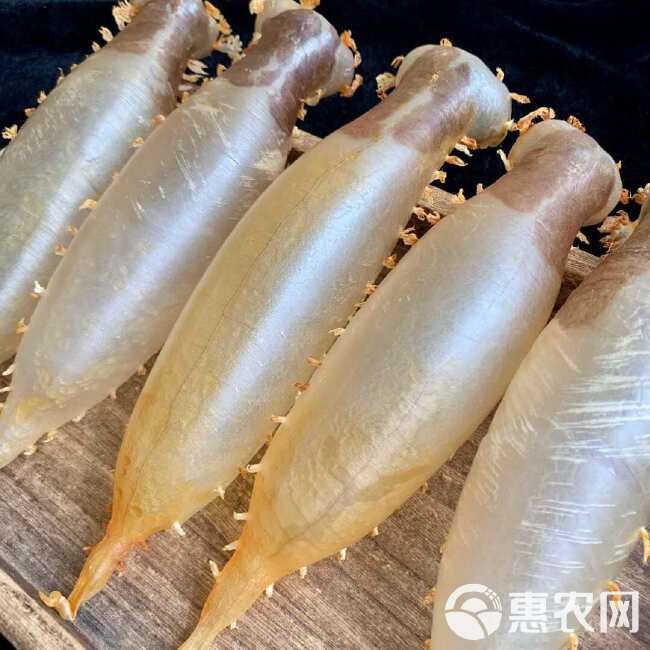 野生赤嘴筒 鱼胶天然安全食品纯公肚 营养价值高