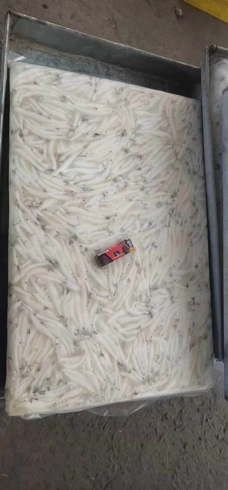 新鲜冷冻小银鱼，规格齐全，产地直销，肉质鲜嫩。