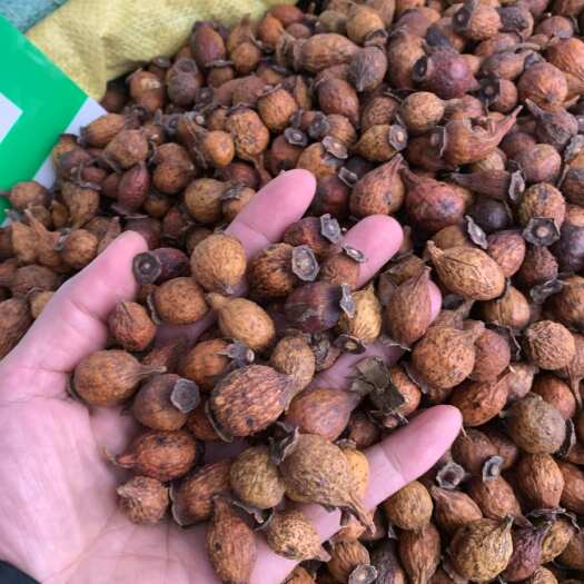 玉林中药材批发 金樱子纯无硫  量大从优