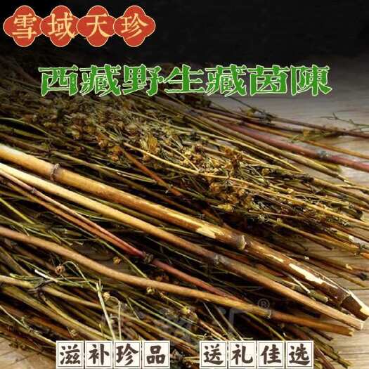 拉萨藏茵陈  正品西藏臧茵陈  苦草  藏茵陈