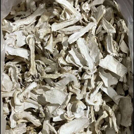 贵阳干赤松茸