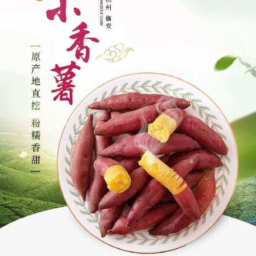 杭州天目山小香薯